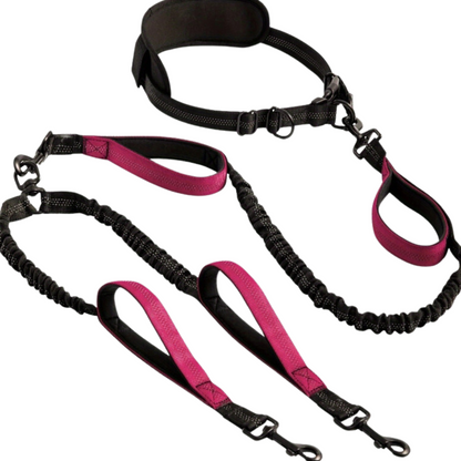 DualWalk™ - Hands Free Tangle Free Bungee Style Double Dog Leash