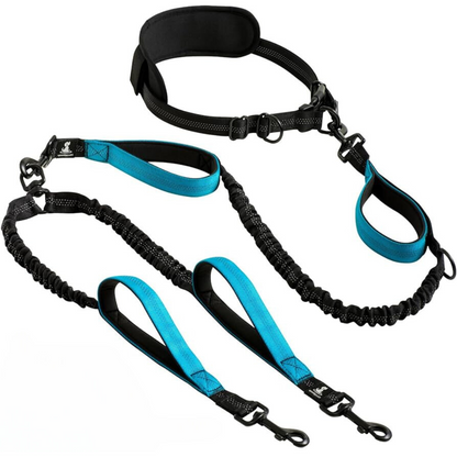 DualWalk™ - Hands Free Tangle Free Bungee Style Double Dog Leash