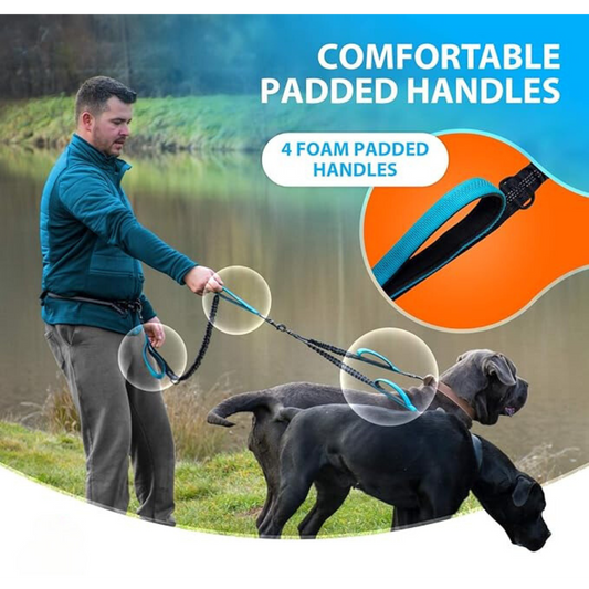 DualWalk™ - Hands Free Tangle Free Bungee Style Double Dog Leash